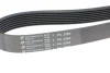 Ремень генератора Honda Accord 2.2 i-CDTi 04-08 (7PK2264) HUTCHINSON 2264 K 7 (фото 3)