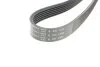 Ремінь генератора Ford Focus 1.8/2.0i 03-12 HUTCHINSON 1305 K 6 (фото 4)