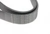 Ремень генератора Toyota Land Cruiser 200 4.5 D-4D 07- (9PK2250) HUTCHINSON 2250 K 9 (фото 4)