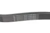 Ремінь генератора MB E-class (W124/S124) M104 93-96 (6PK2412) HUTCHINSON 2412 K 6 (фото 4)