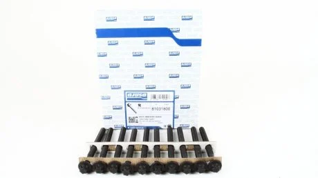 Болти головки блоку Kangoo/Clio/Logan/Sandero/Megane 1.5dCi 01- (10 шт.) AJUSA 81031800