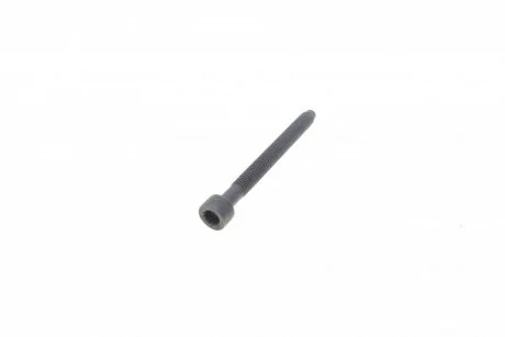 Болт кріплення форсунки VW Caddy/T5 1.9 TDI 03- (M6x64) AUTOTECHTEILE 310 3016