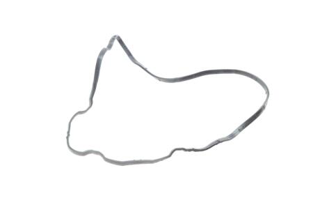 Прокладка впускного коллектора Fiat Ducato 2.3D 06- ELRING 384.640