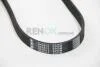 Ремень генератора Jumper/Boxer 2.5D/TDI 94>02 AC/2.5D >11.95 VACP/2.5TD 9 BGA 6PK915 (фото 3)