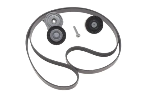 Комплект поліклинових ременів (Ви-во) INA 529 0509 10