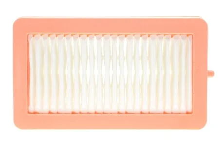 ФІЛЬТР ПОВІТРЯНИЙ RENAULT 165465FN1A