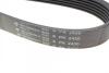 Ремень генератора Jeep Cherokee 2.8 CRD 08- (6PK2430) HUTCHINSON 2430 K 6 (фото 4)