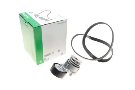 Комплект ременя генератора Renault Kangoo 1.5 dCi 01- (5PK 1200) INA 529 0511 10