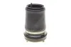 Подушка пневмопідвіски (спереду) BMW X5 (E53) 00-06 (R) AUTOTECHTEILE 700 3306 (фото 5)
