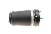Подушка пневмоподвески (спереди) BMW X5 (E53) 00-06 (L) AUTOTECHTEILE 700 3305 (фото 4)