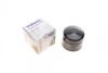 Фильтр масляный Honda Civic/CR-V 1.6 i-DTEC 13- WUNDER FILTER WY 927 (фото 1)