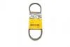 Ремень генератора VW Caddy/Golf/Passat 1.6-2.0 91-99/Seat Ibiza/Toledo 1.6/2.0 93-02 Contitech 11,5X685Ld (фото 1)