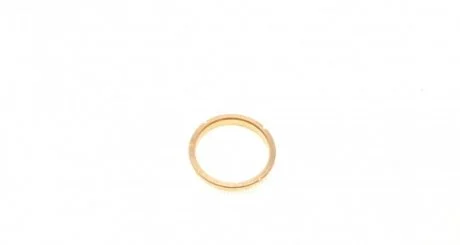 Кільце фланеця півосі передній VW T5 1.9/2,5TDI 03- ROTWEISS RWS2054