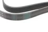 Ремень генератора MB E-class (W210) 4.2/5.0/Audi A8 3.0D 10-18 (6PK2433) INA FB6PK2433 (фото 3)
