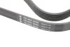Ремень генератора MB E-class (W210) 4.2/5.0/Audi A8 3.0D 10-18 (6PK2433) INA FB6PK2433 (фото 4)