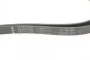 Ремень генератора MB S-class (W221/W222)/E-class (W212) 4.7-5.5 11-17/Porsche Macan 3.0-3.6 14- INA FB6PK2528 (фото 3)
