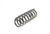 Пружина (задняя) Renault Scenic II 1.4-2.0/1.5dCi/1.9dCi 03-10 (вен) 212048