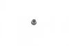 Ремкомплект супорта (заднього) Lexus IS 05-12/Toyota Mark XI/II 04- (d=43mm) (+поршень) (Advi) FRENKIT 243969 (фото 7)