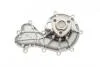 Насос воды VW Touareg 3.0 V6 TDI/Porsche Cayenne/Macan 3.0 S 10- TRUCKTEC 07.19.288 (фото 5)