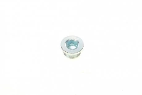 Болт зливу оливи (АКПП) VW Caddy/Golf/Passat/Touran/Seat Leon/Toledo 1.0-2.0TSI/TFSI 05- (M24x1.5x) ELRING 872.020