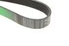 Ремінь генератора Volvo FH/FM/FMX 12.8D 93- Gates 8PK1538HD (фото 4)