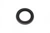 Ремкомплект суппорта (заднего) Mini Mini 10-16 (R60/R61) (d=54mm) (+поршень) (TRW) FRENKIT 254846 (фото 11)