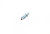Ремкомплект суппорта (заднего) Mini Mini 10-16 (R60/R61) (d=54mm) (+поршень) (TRW) FRENKIT 254846 (фото 12)