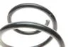 Пружина (передня) Nissan Qashqai II1.6 dCi/2.0 13-/Renault Kadjar 1.6dCi 15- (SUV) LESJOFORS 4062103 (фото 2)