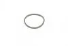 Ремкомплект суппорта (переднего) Hyundai Elantra/Kia Rio III 00-(d=54mm)(Mando)(+1 поршень/направляю) FRENKIT 754470 (фото 2)