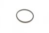 Ремкомплект суппорта (переднего) MB Vito (W639) 03- (d=48mm)(Bosch)(+2 поршня/направляющая) SuperKit FRENKIT 748342 (фото 4)