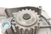 Помпа води Citroen C4-C8/Jumper/Peugeot 308/407/Ford Focus 2.0-2.2HDi/D/TDCi 06- (B/B)(8 лоп) Bugatti PA10114 (фото 4)