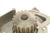 Помпа води Citroen C4-C8/Jumpy 2.0-2.2HDi/Fiat Scudo 2.0D/Ford Focus 2.0TDCI 01- (B/B)(8лоп) Bugatti PA7409 (фото 6)