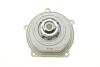 Насос воды Honda Accord V/VI/Civic VI 2.0TDi/i D/Land Rover Freelander 2.0DI 4x4 96-02 (B/B) (6 лоп) Bugatti PA5204 (фото 5)