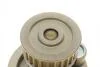 Помпа води Opel Astra F/G/H/Omega B/Vectra A/B/Zafira A/B 1.8i/2.0i/2.2i/2.4 94-10 (R/B) (8 лоп) Bugatti PA10327 (фото 5)