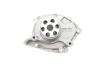 Насос воды Renault Megane/Scenic 1.9 dCi 08-/Suzuki Grand Vitara 1.9DDiS 06-15 Bugatti PA10146 (фото 6)
