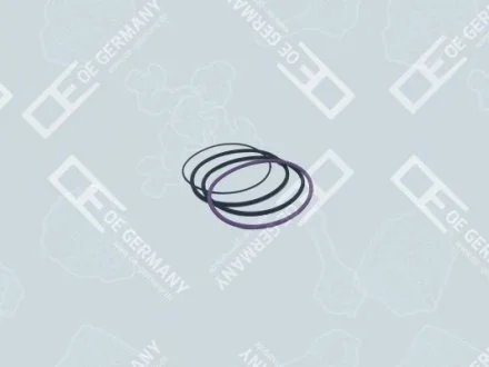 Комплект уплотняющих колец гильзы цилиндра OEGER OE germany 030111121000