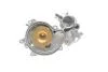 Помпа води BMW (E53) X5 4.4i/4.8is/5 (E60-61) 545i/6 (E63-64) 645ci/7 (E65-67) 01-10 (R/B) (8 лоп.) Bugatti PA10206 (фото 2)