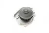 Помпа води Fiat Doblo 1.2 01-05/Panda/Punto 1.1/1.2 04- (24z) (B/B) (8 лоп.) Bugatti PA5942 (фото 8)