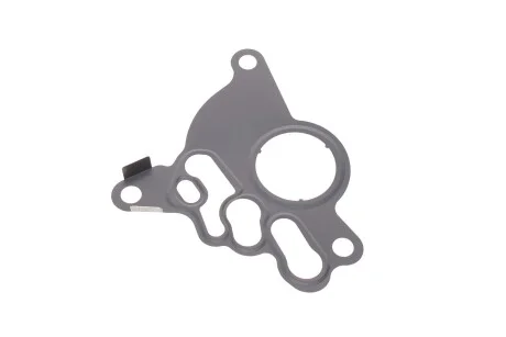 Прокладка насосу тандемного (вакуумно-паливного) Skoda Octavia/VW Golf/Passat 2.0 TDI 03- Vika 11450886601