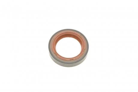 Сальник розподільного валу VW LT/T4 2.5TDI (32x47x10) Vika 11031803801