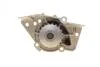 Помпа системи охолодження Citroen Xantia/Xsara/Peugeot 306/406 1.8i 16V 95-03 (20z) (B/B) (6 лоп) Bugatti PA5505 (фото 6)