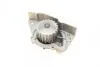 Помпа системи охолодження Citroen Xantia/Xsara/Peugeot 306/406 1.8i 16V 95-03 (20z) (B/B) (6 лоп) Bugatti PA5505 (фото 8)