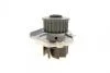 Помпа води Fiat Doblo/Panda/Punto 1.4 05-/Opel Combo 1.4 12-/Ford Ka 1.2 08-16 Bugatti PA10153 (фото 4)