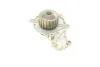 Помпа води Citroen C1/C2/C3/Nemo/Ford Fiesta/Peugeot 1007/206/307 1.4HDi/TDCI 02- Bugatti PA10013 (фото 3)