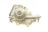 Насос воды Chevrolet Aveo 1.2 04-/Matiz 1.0 05-/Daewoo Matiz 0.8/1.0 03- Bugatti PA9104 (фото 7)