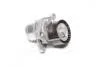 Натяжна планка, полікліновий ремінь Schaeffler gruppe 534 0281 10 (фото 1)