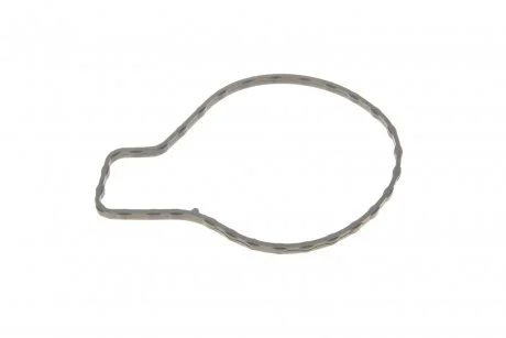 Прокладка водяної помпи ELRING 699.690