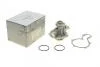 Помпа води Audi A4/A6/VW Passat 1.6/1.8/1.8T/quattro 94-05 TRUCKTEC 07.19.082 (фото 1)