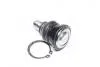 Опора кульова FORD FIESTA VI, B-MAX 08- RIDER RD.99351737309 (фото 4)