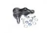Опора кульова CHEVROLET EPICA 06- нижн. RIDER RD.96639918 (фото 1)